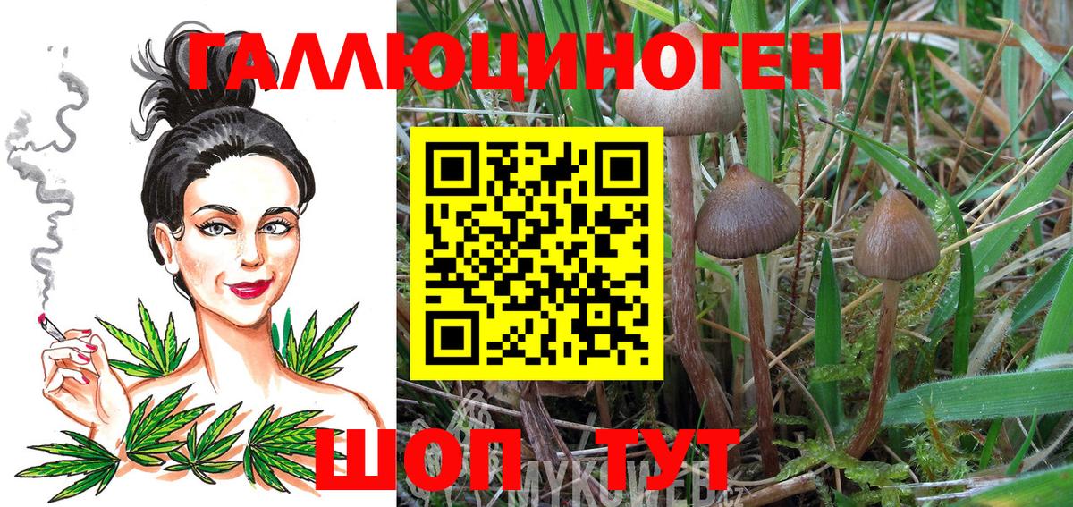 Галлюциногенные грибы Magic Shrooms Черкесск
