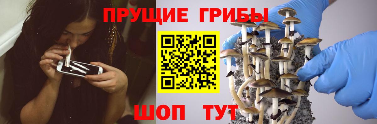 Галлюциногенные грибы MAGIC MUSHROOMS  Вход с VPN  Черкесск  Псилоцибиновые грибы Cubensis 