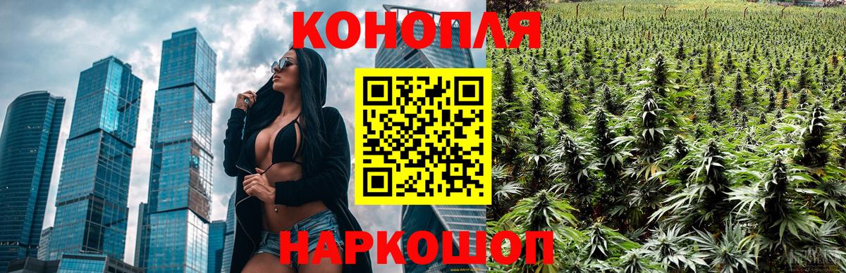 Бошки марихуана THC 21% Черкесск
